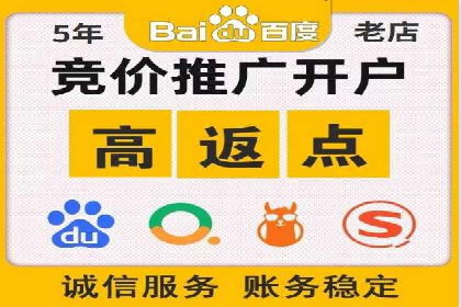 谷歌竞价案例：跨境电商广告投放策略